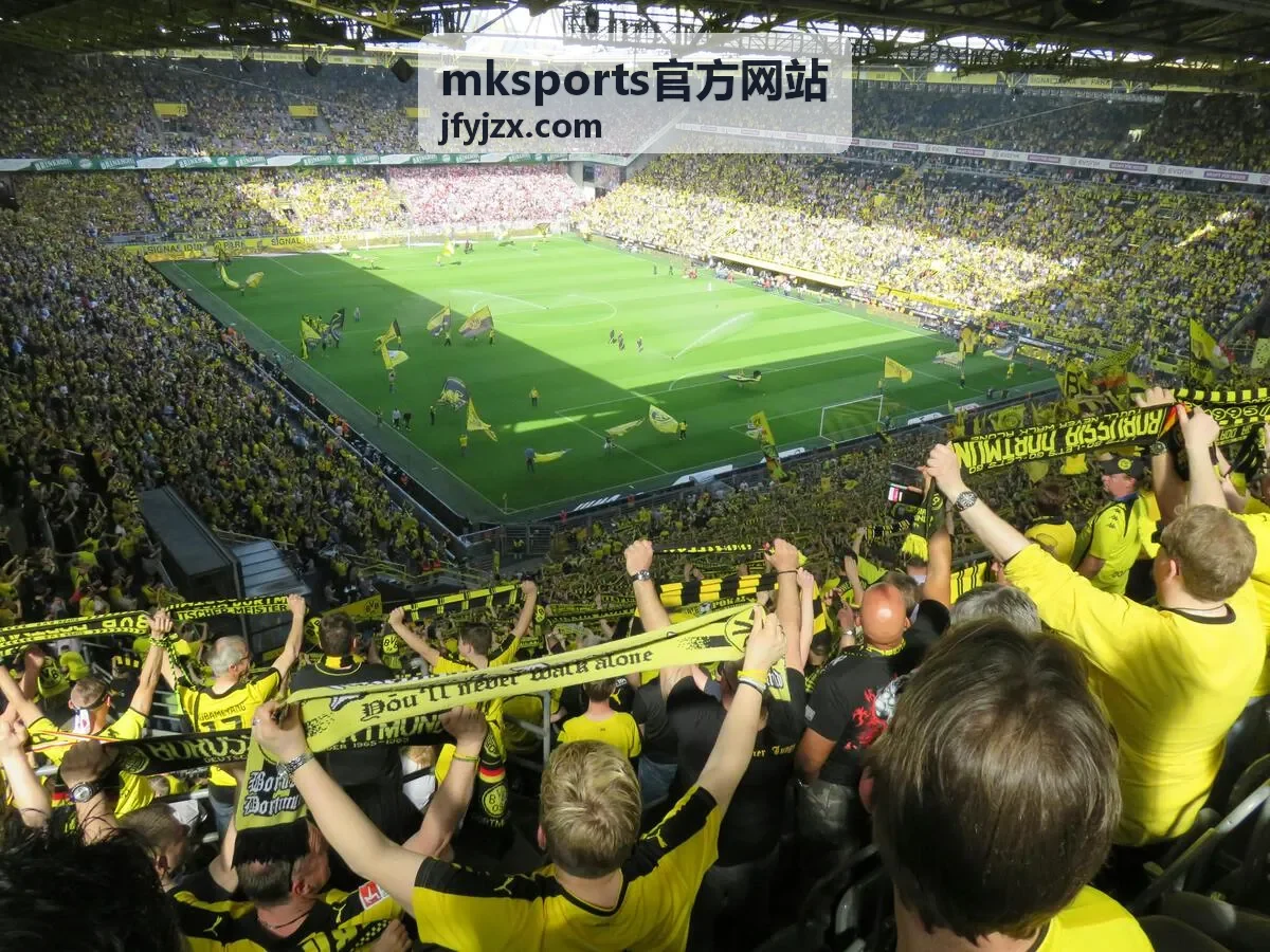 mksports官方网站桌面端客户端下载安装界面