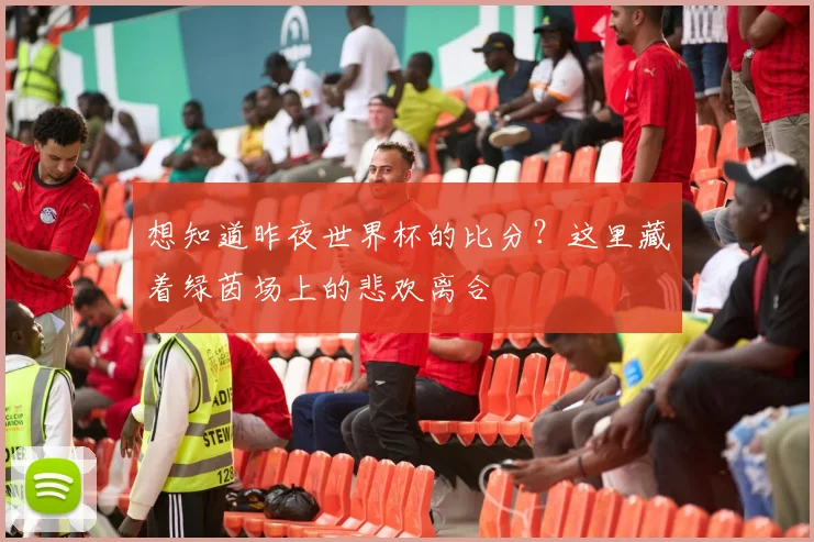 想知道昨夜世界杯的比分？这里藏着绿茵场上的悲欢离合