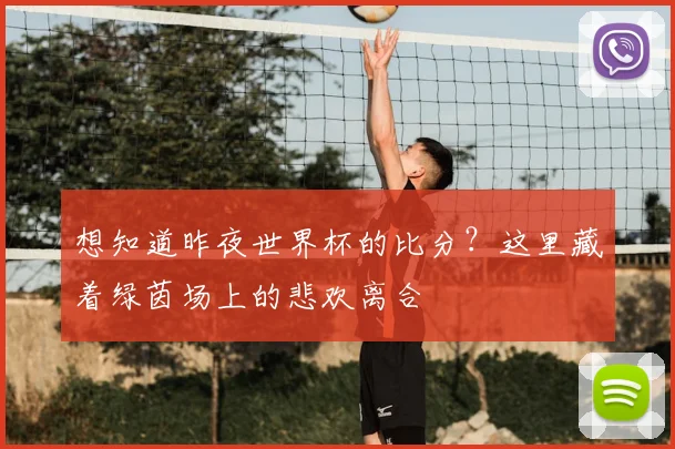 想知道昨夜世界杯的比分？这里藏着绿茵场上的悲欢离合