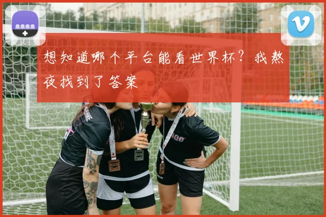 想知道哪个平台能看世界杯？我熬夜找到了答案