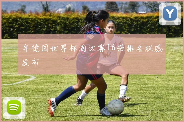 年德国世界杯淘汰赛16强排名权威发布