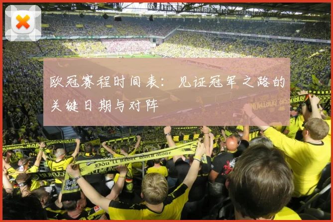 欧冠赛程时间表：见证冠军之路的关键日期与对阵